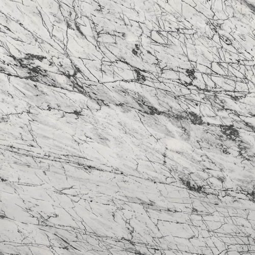 material19