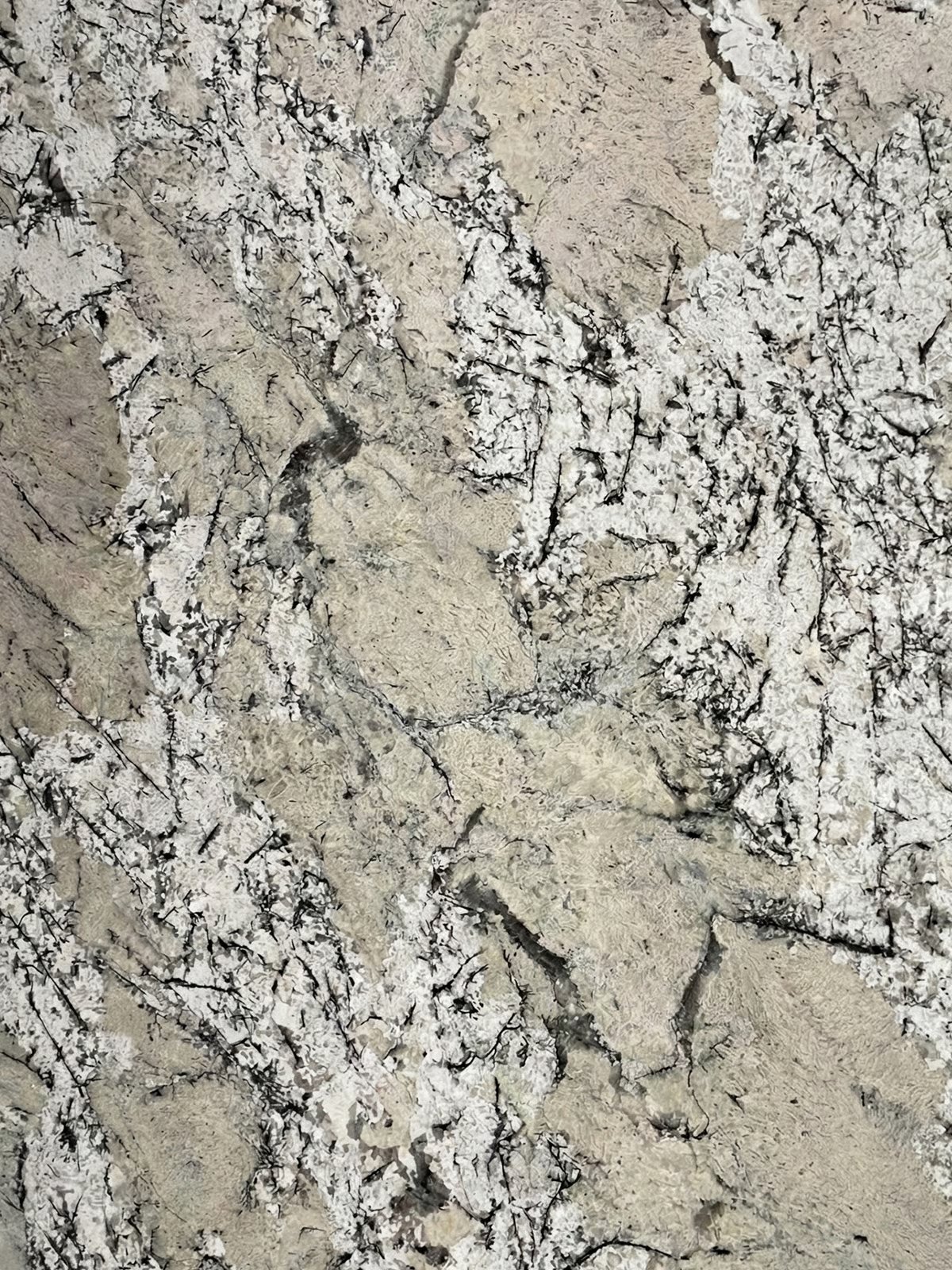 material25